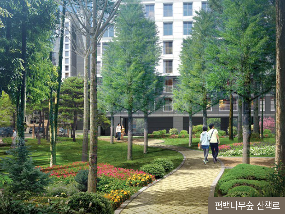 편백나무숲 산책로