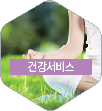 건강서비스